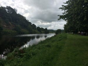 IMG_3142